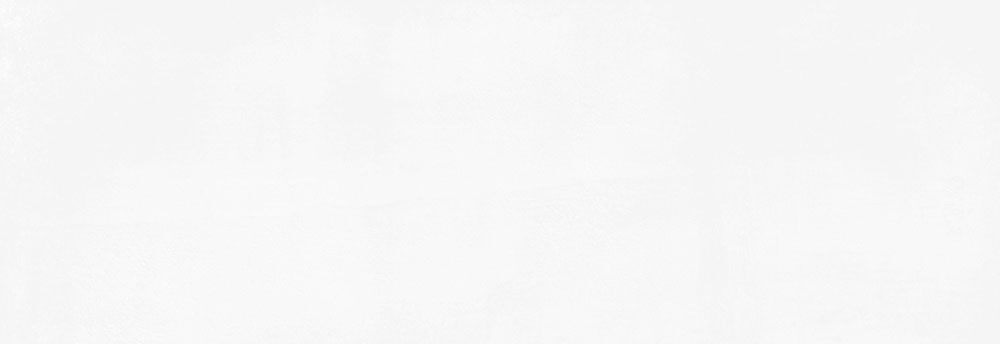Wandfliesen G.Rlv.Obi Blanco Glasiert 40x120 cm