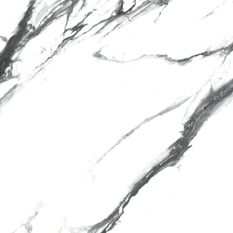 Bodenfliesen G.Oikos Black Poliert 60x120 cm